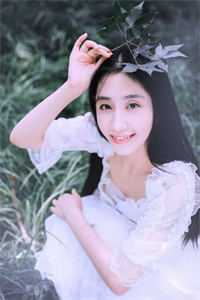一品红人全集小说