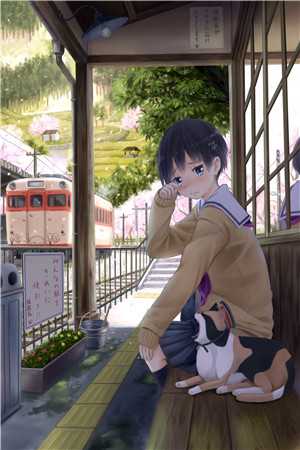 他似人间妄想全集小说