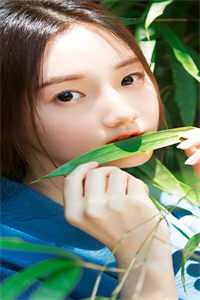 爱火江南全文阅读全文章节