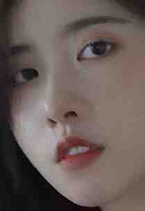 七个女儿天下无双全章节
