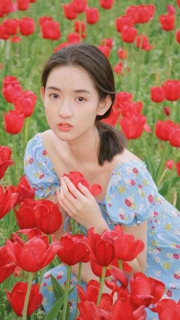 全章节齐箐桑洛洛免费阅读