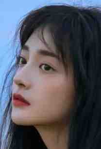 小说什么经济独立不婚主义