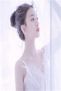 小说魏奴杀