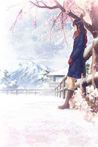 全章节政世间