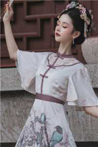 青云美人图小说