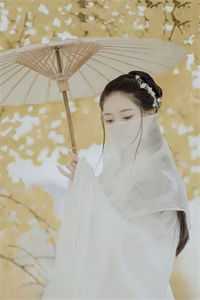 媚色诱宠：权臣的掌心娇全集小说