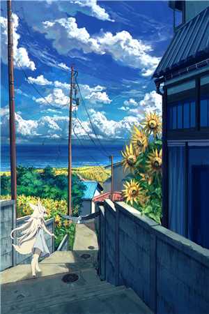 繁星不及你倾城知乎完整版