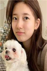 带全村致富，村长说他是秦始皇小说