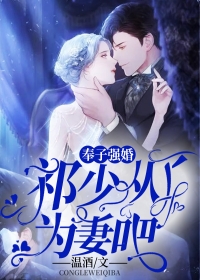 一品红人热门小说