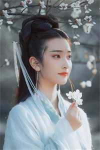 全文寒门秀才：推恩令出，国运翻腾