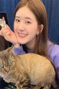 西汉小亭侯畅读佳作推荐