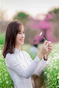 少帅夫人美又强，却苟的一批全文阅读