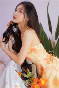 贵妃娘娘宫女出身，皇上偏宠着全集小说
