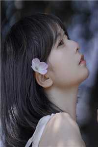 权途红颜畅销小说