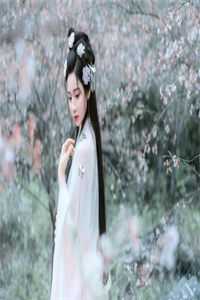 精选小说推荐重生后，侯门夫人假死嫁权王