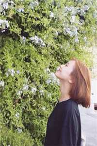 全文版美人宿主快穿后，小世界崩塌了