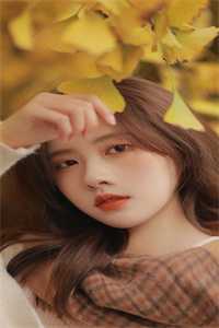全集阅读江湖儿女