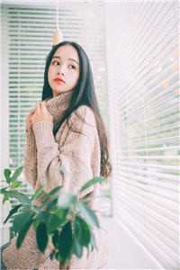 渣男宠妾灭妻？她二嫁太子精品阅读