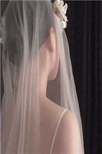 掠爱甜婚：太子强娶她入东宫长篇小说阅读