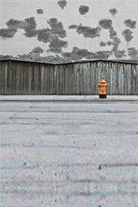 全章阅读快穿七零：我带着空间雄起了<