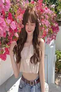 一首映月惊断肠，二弦也能灭全族全集阅读