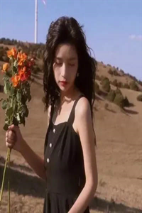 你结婚我劫婚全章节