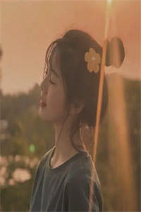 全章节强吻女师尊后，她为我强行续命