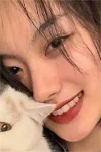 绝世武圣完整版