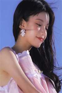 禀告首辅，夫人她又去给你物色美女了畅销书目