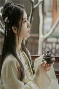 全集小说仕途美人香