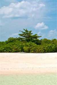 畅销巨著荒野从空难走进娱乐圈