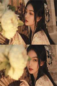 前妻，求复婚！全文完结
