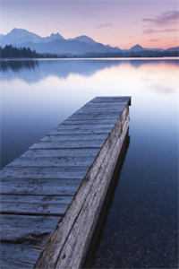 蓄谋已久，薛总他明撩暗哄小说<