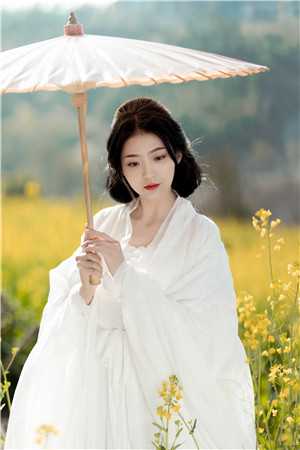 畅销小说别惹炮灰女配：黑莲花女主被我逼疯