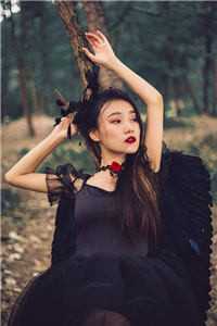舒小姐只想退婚精选全文