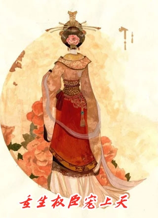 皇婿归来长篇小说阅读
