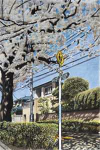 热门作品登云官途