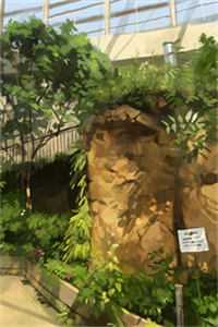 全文阅读双双金鹧鸪