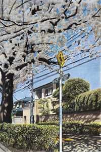 小说葬天变