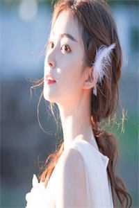 全文章节入赘为婿后，他只想吃软饭