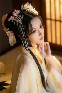 夫人死心离婚后，偏执陆少他疯了精选小说