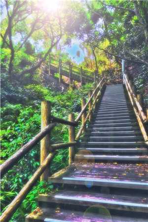 官路巅峰短篇小说