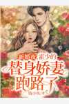 军婚甜宠：小军嫂又美又娇完整作品