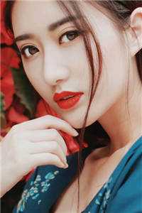 如梦神医全本小说推荐