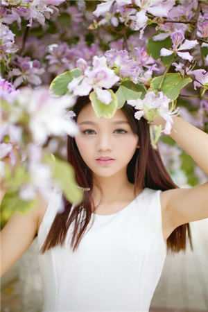 完整文本顾总求你别虐了，夫人她已再婚了
