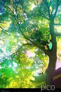 空间农女：靠种植带全族发家完整文集