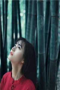 穿越后，她靠瓷器在古代乘风破浪