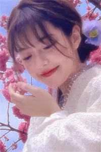 替嫁新娘跑路后，霸总追妻火葬场了
