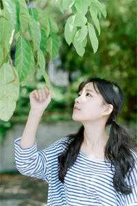穿越古代成美人，靠生子宠冠后宫