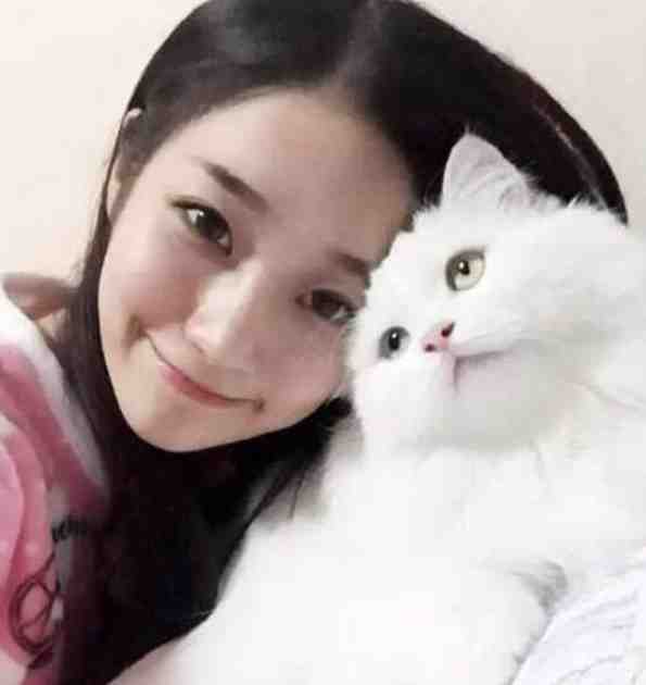 虐爱成瘾：将门王妃很彪悍